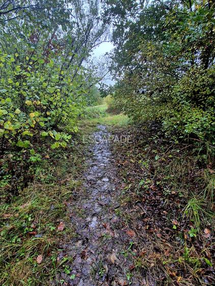 Comision 0%, teren extravilan 12497 mp Sinca Noua - 10