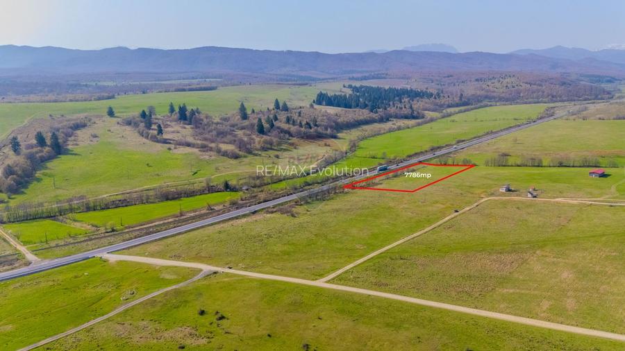 Teren 7786 mp/Curți construcții/Benzinărie - 6