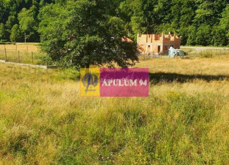 Teren Județul Vâlcea - Brezoi, Valea lui Stan - 26