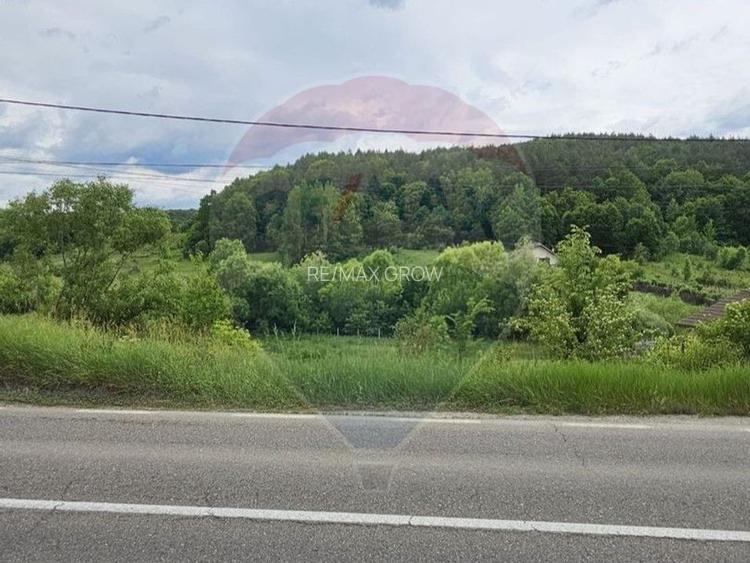 Teren 7,797mp Podis / Calea Moinesti - 3