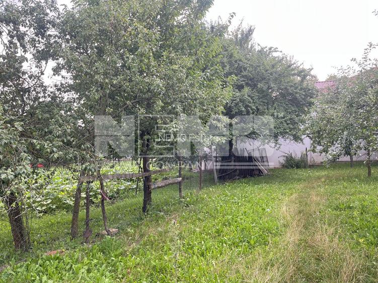 TEREN INTRAVILAN 10 ARI  I Rotopanesti/Suceava I 19.900Euro - 2