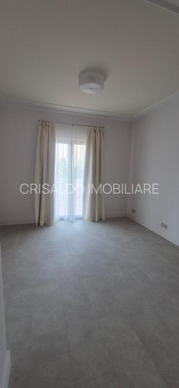 Proprietate deosebita Iancu Nicolae - 19