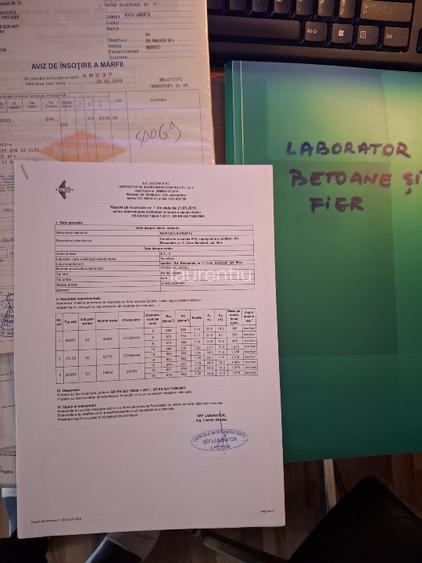 Afacere la cheie casa, vila, zona Therme,Aeroport - 10