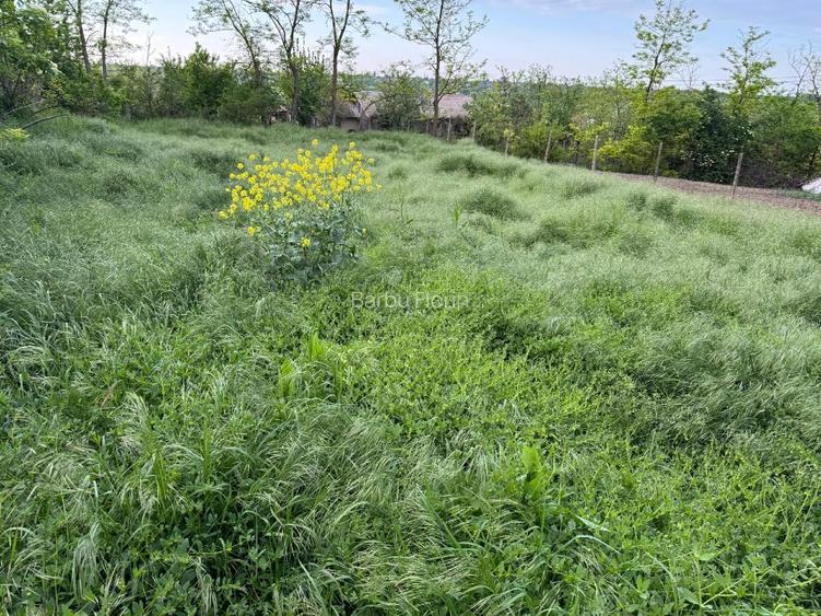 Casa  (30 min de Bucuresti) în Tamadau (lângă lacul Mostistea) cu teren 850 m - 5