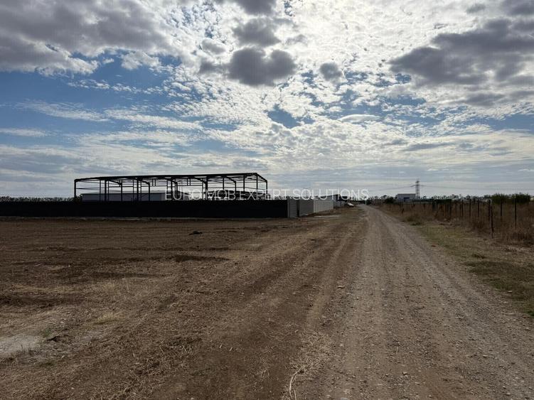 Teren DN4-A0 cu deschidere la Soseaua Oltenitei - 2