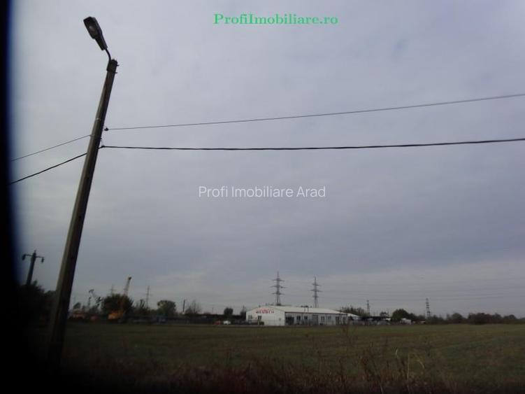 Teren 5.000 mp pentru diverse activitati cu acces din sosea strada Ovidiu in fat - 11
