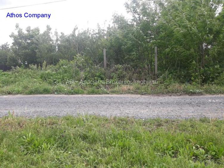 Teren Tartasesti - 4