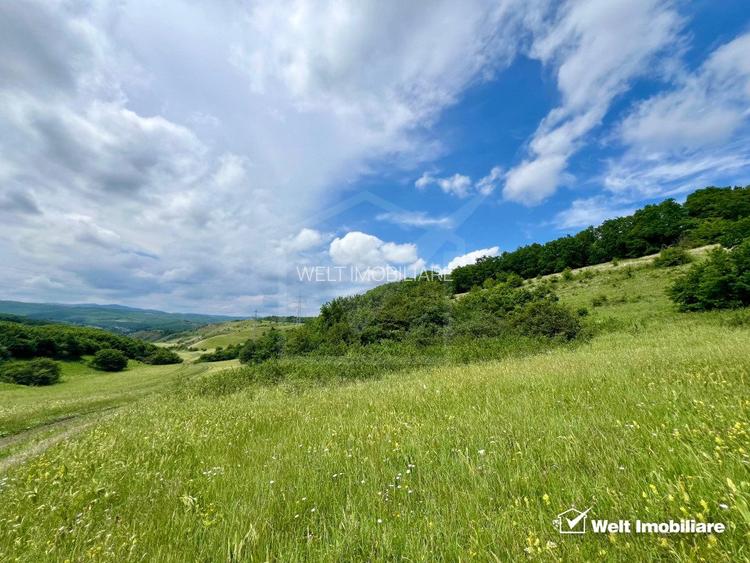 Oportunitate investitie, teren cu panorama pentru cabane - 2