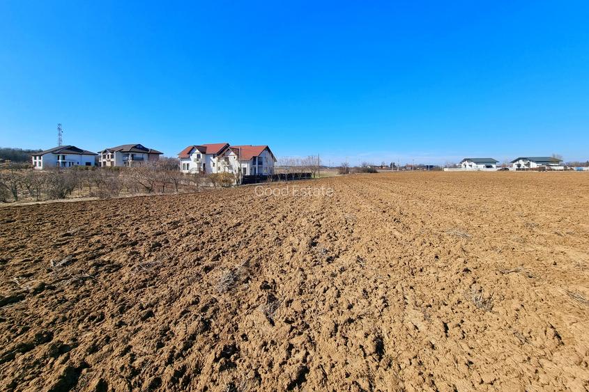 Teren intravilan 13175mp utilitati Ciolpani Strada Alunisului - Padurea Snagov - 11