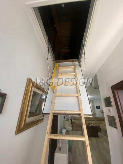 Casa cocheta  Mosnita Veche - 19