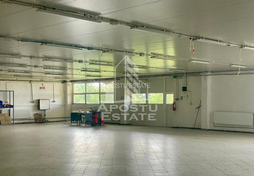 Spatii productie si depozitare, zona Sebis - Prunisor-Carand - 6