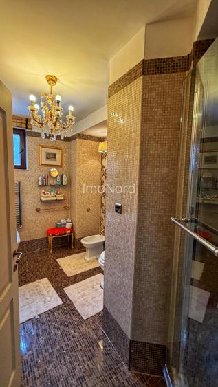 Apartament 3 camere, finisaje unice,  cu terasa, vedere la partie  - 12
