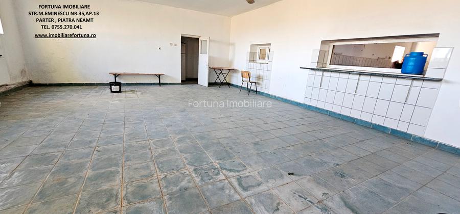 Complex imobiliar format din cladiri si constructii industriale+teren intravilan - 5