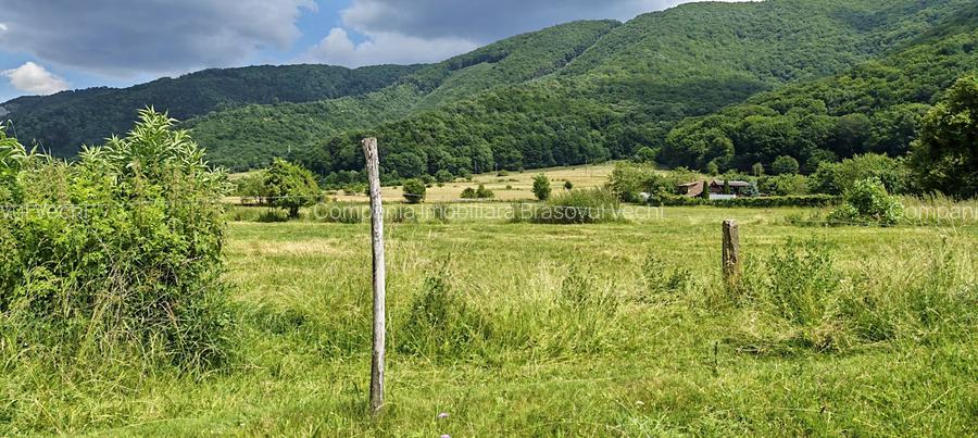 Teren intravilan - padure de agrement - in Brasov. - 4