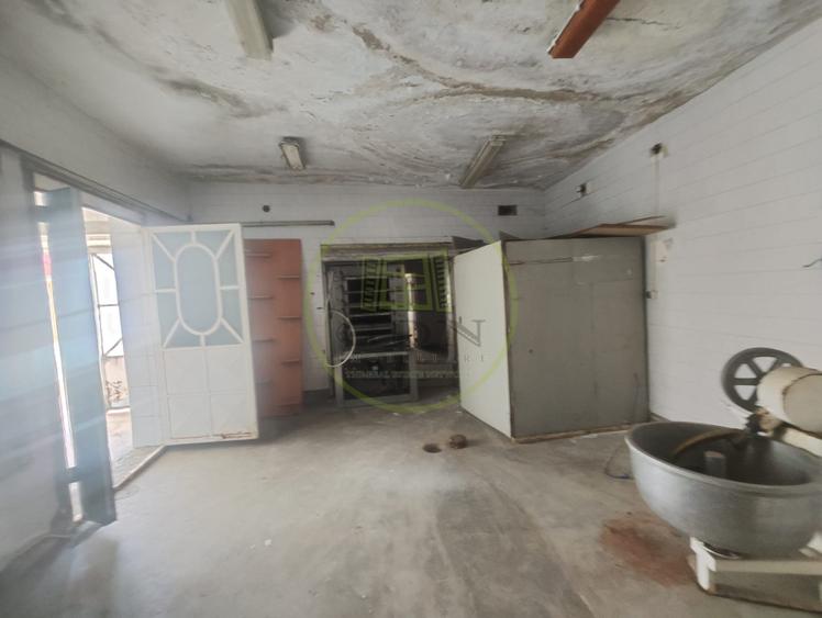 Spatiu comercial 9 camere, casa 2 camere, teren 354 mp, Brestei.