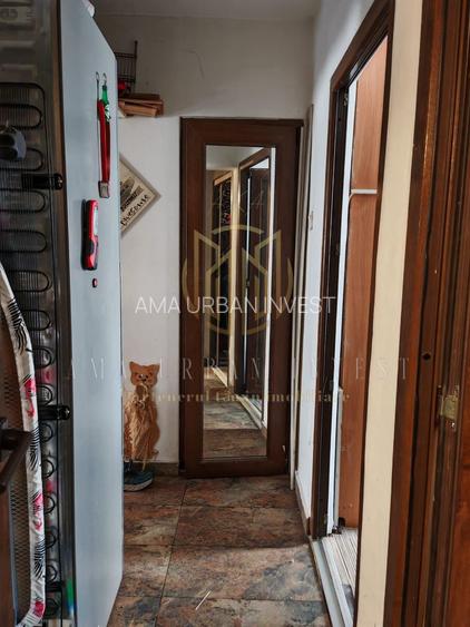 3 camere hol H, Teiul Doamnei, Maica Domnului - 3