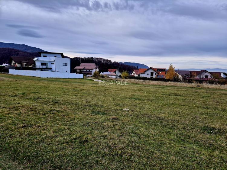 Teren Intravilan superb, 504 mp x 2/ casa locuit Bunloc - 8