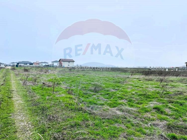 Teren Intravilan 519mp, P+1E+M, zona in dezvoltare - Vidra, Ilfov - 5