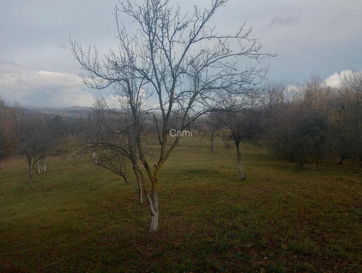 Vând teren intravilan 4062 mp - 5