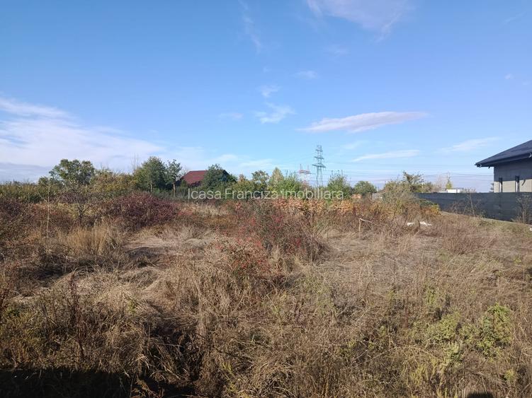 Teren de vânzare – Cornetu, str. Școlii 38 m dechidere 2973 mp - 9