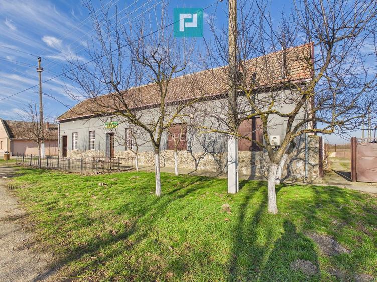 Spațiu comercial de 225 mp în Satu Mare - 2
