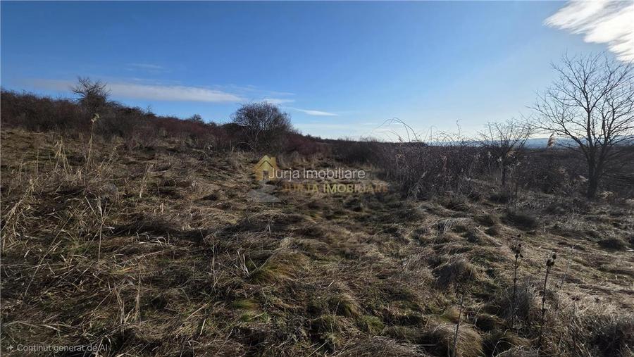 TEREN INTRAVILAN 590 MP  | 2 FRONTURI 17 MP | ZONA CARTIER  VORONET - 5