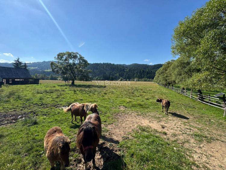 Vanzare 16700 - 9 loturi - Plaiul Sarului la sosea- microdezvoltare langa oras - 17