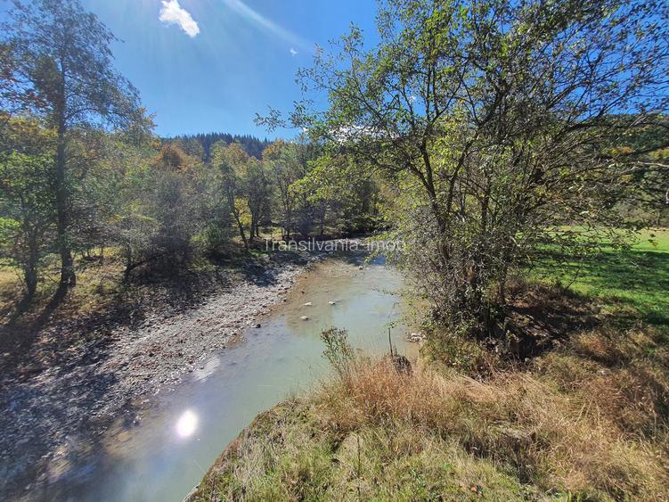 Teren Sacele Bradet 8euro/mp pretabil investitie - 10