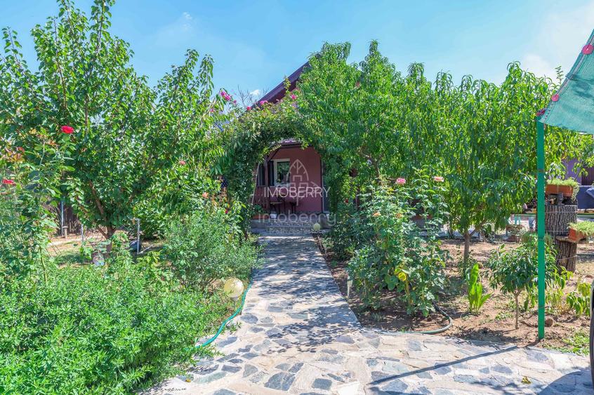 Vanzare casa individuala, curte, Mihailesti, Giurgiu - 2