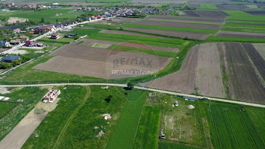 Teren de vanzare 8.700 mp în Livada comuna Iclod - 13