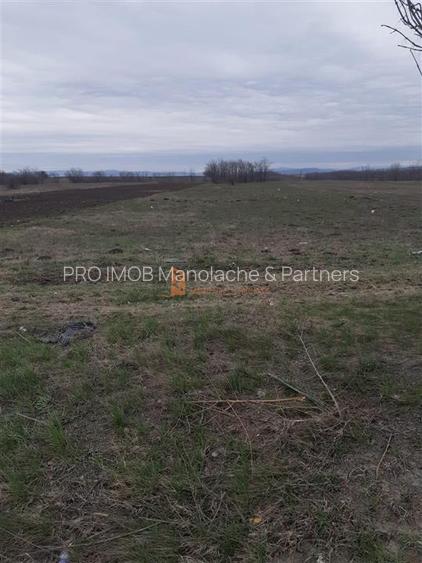 Teren intravilan 5000 mp  zona Autorola/E85/ Autostrada A7 - 4