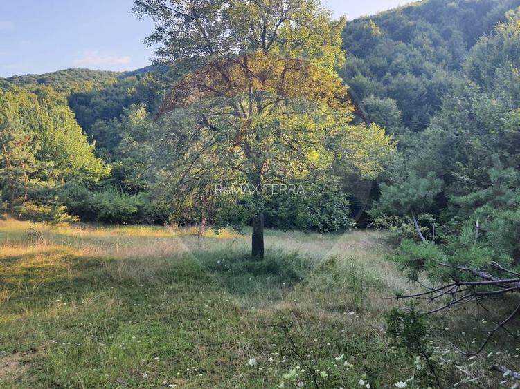 Poiană pentru cabana de vanzare intravilan Coas - 6