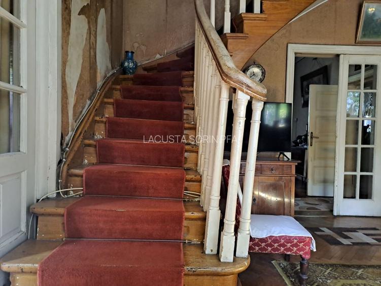 Cotroceni-Parcul Romniceanu, singur curte, garaj, curte generoasa - 14