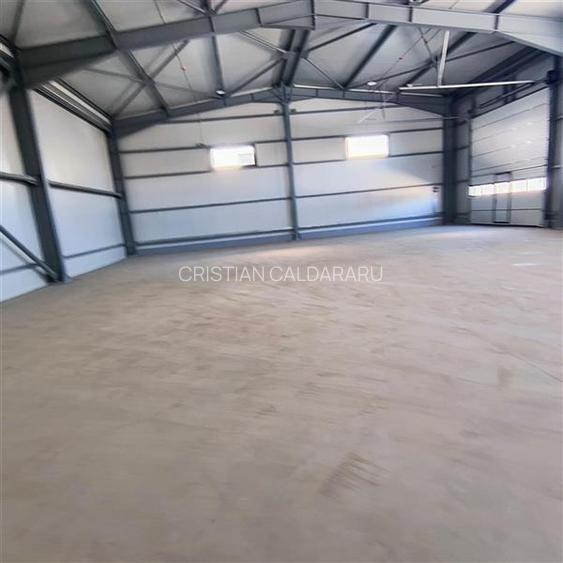 Inchiriere depozit/hala/spatiu industrial Domnesti - Centura - 6
