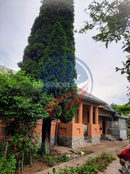 Casa de vanzare/Balcesti/Valcea/Str Pietii - 13
