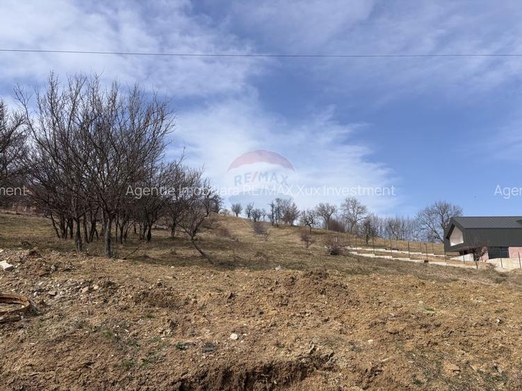 Teren 1,697mp Cisnadioara / Strada Silvicultorilor - 6