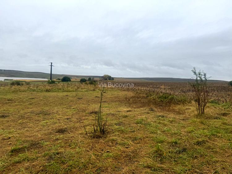 Vanzare 10.000 mp teren Liteni Suceava- la strada -potrivit proiect fonduri - 9