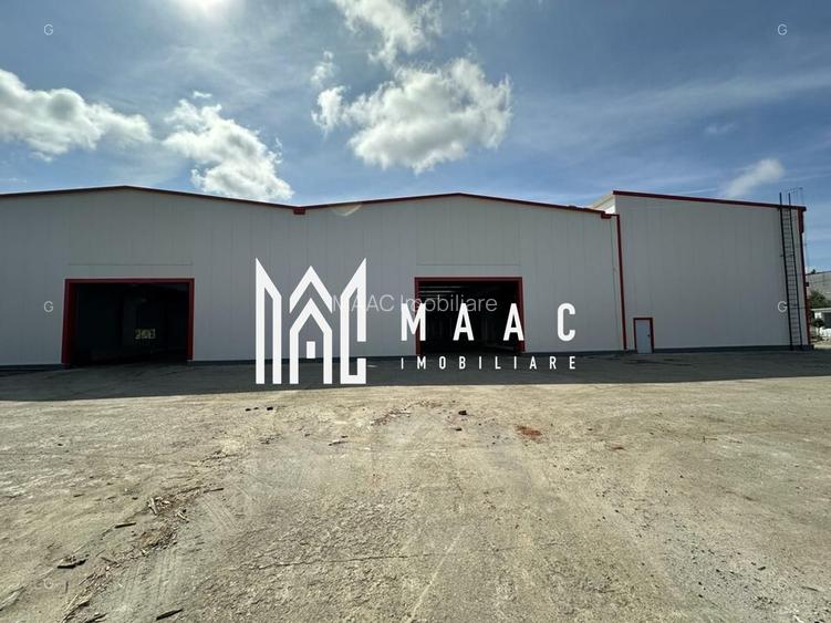 Hala producție I 6857 mp I Acces TIR I Pod Rulant I Mârșa - 4