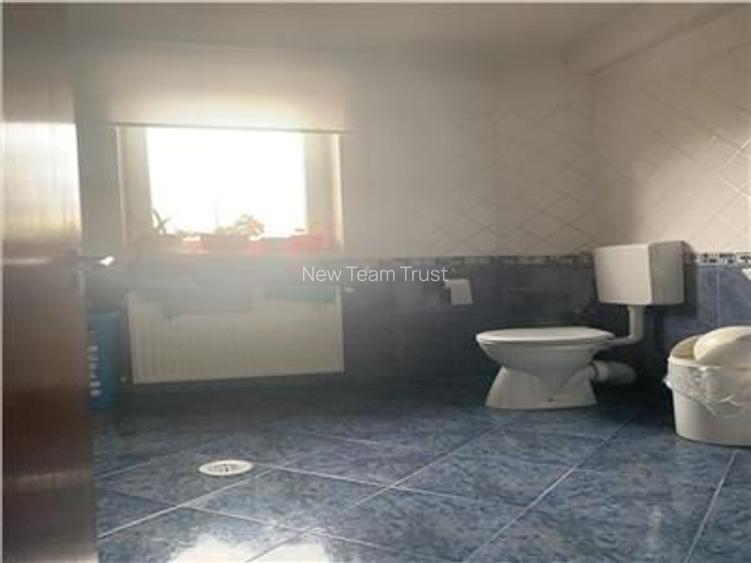 Vanzare Vila Individuala Campul Pipera - 10