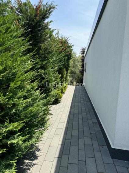 Casa Individuala De Inchiriat, Piscina, 225mp, Zona Teilor - 9