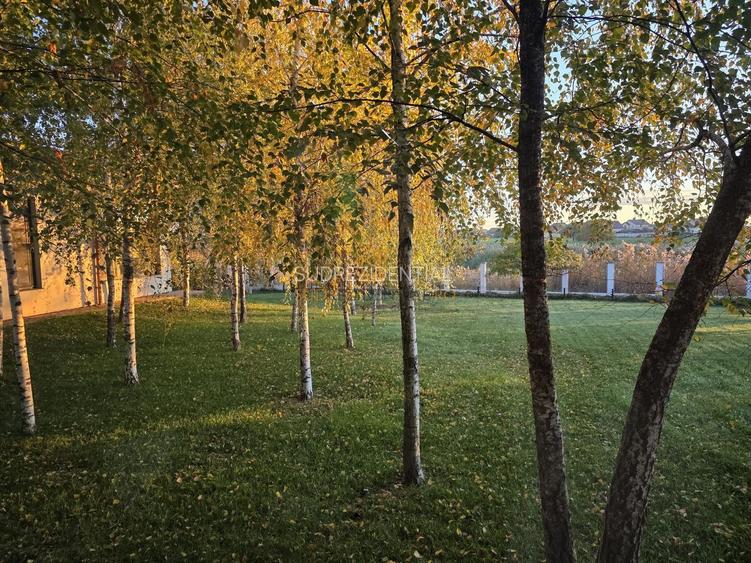 Resedinta spectaculoasa  – Vila exclusivista deschidere directa la lac - 38