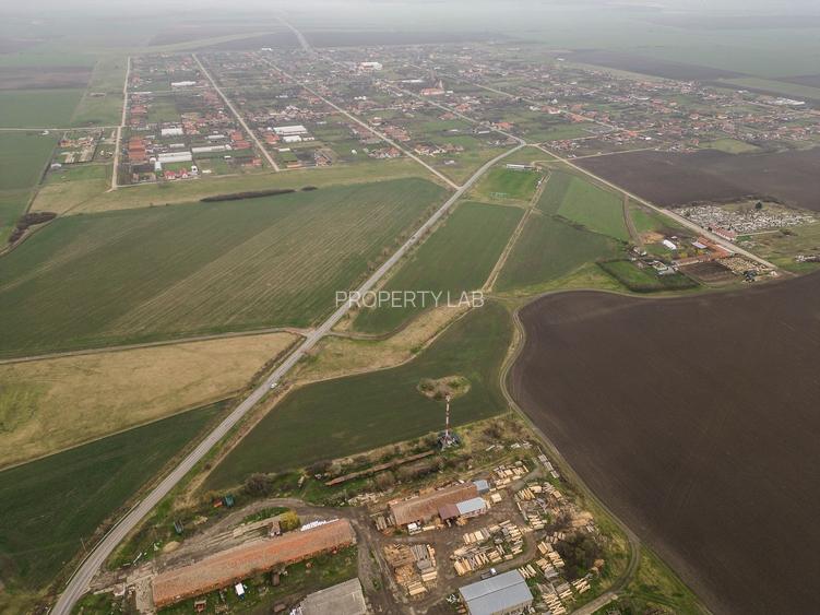 Teren construibil de investiții în Caporal Alexa - 4