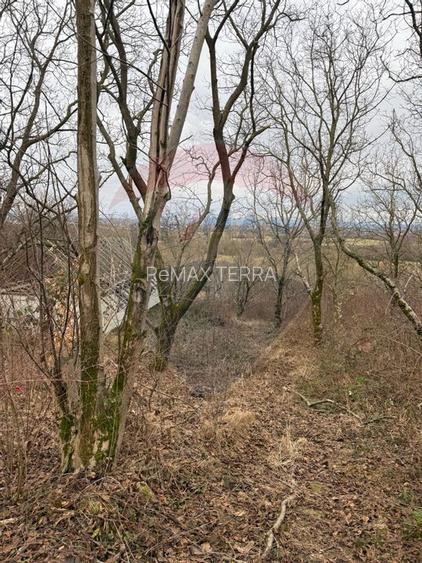 DE VANZARE Teren Strada Victoriei Baia Mare - 15