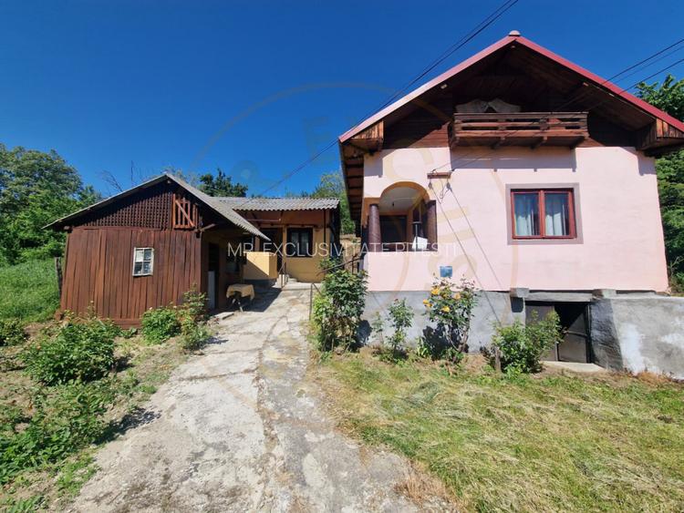 Proprietate în Comuna Botești, Județul Argeș – Zonă Pitorească și Liniștită ! - 4