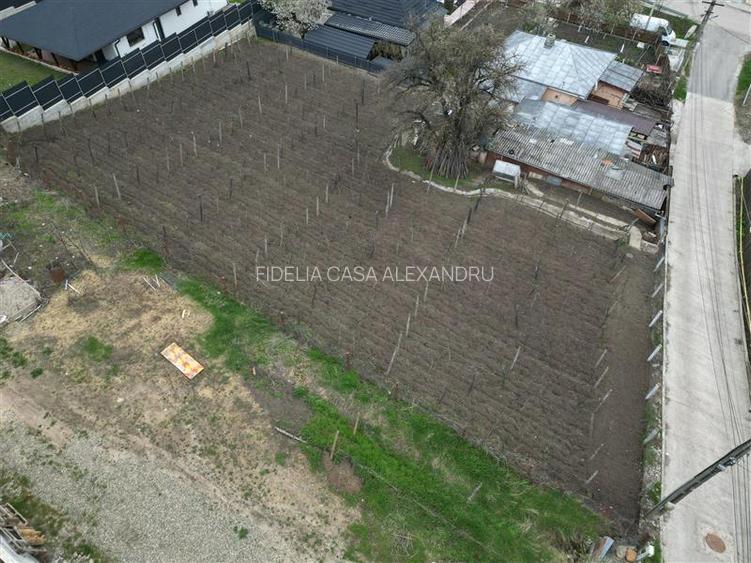 Teren intravilan 842 mp , asfalt , toate utilitatile - Valea Lupului , Iasi - 5