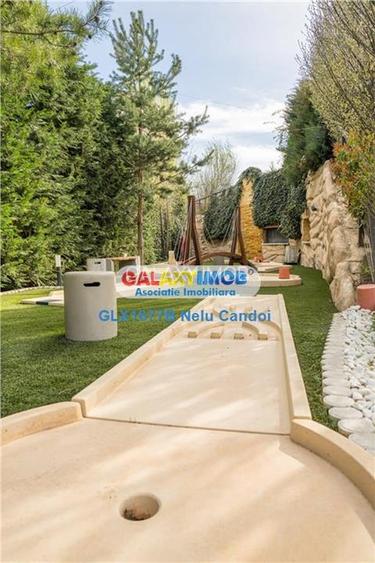 VANZARE AFACERE LA CHEIE MOGOSOIA  COUNTRY CLUB 5000 - 18