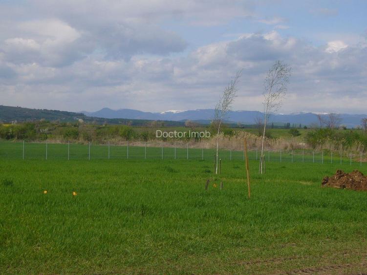 Casă nouă, prima inchiriere – startul poveștii voastre în inima naturii - 16