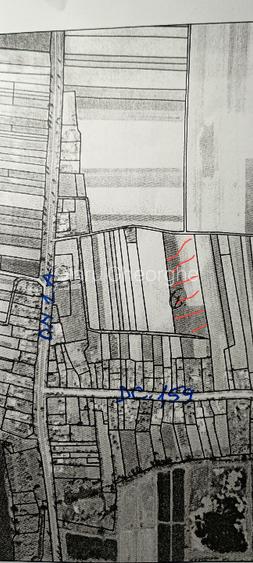 teren extravilan agricol Butimanu - 2