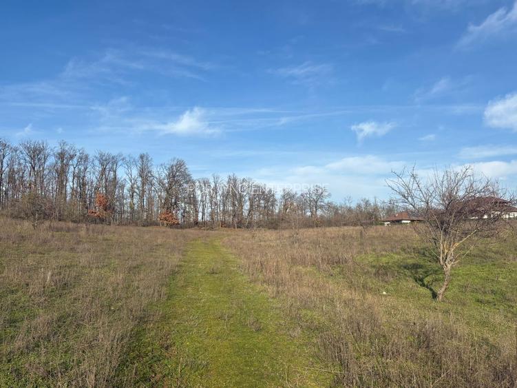 Teren 10.009 mp cu deschidere 70 m — vedere la lac și pădure - 4