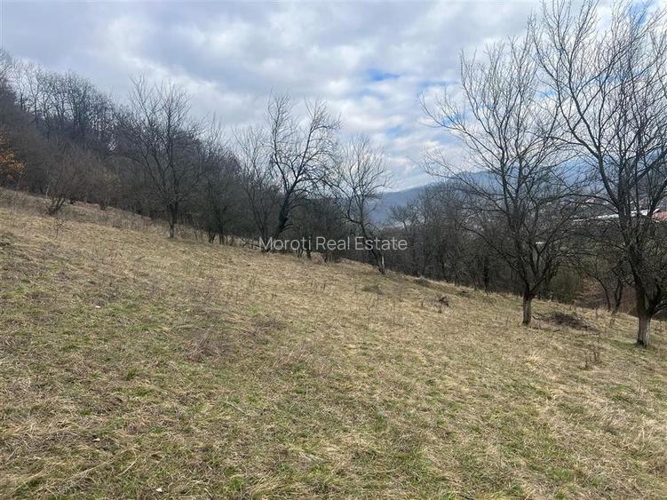 Teren intravilan si extravilan Luncoiu de Jos - 3